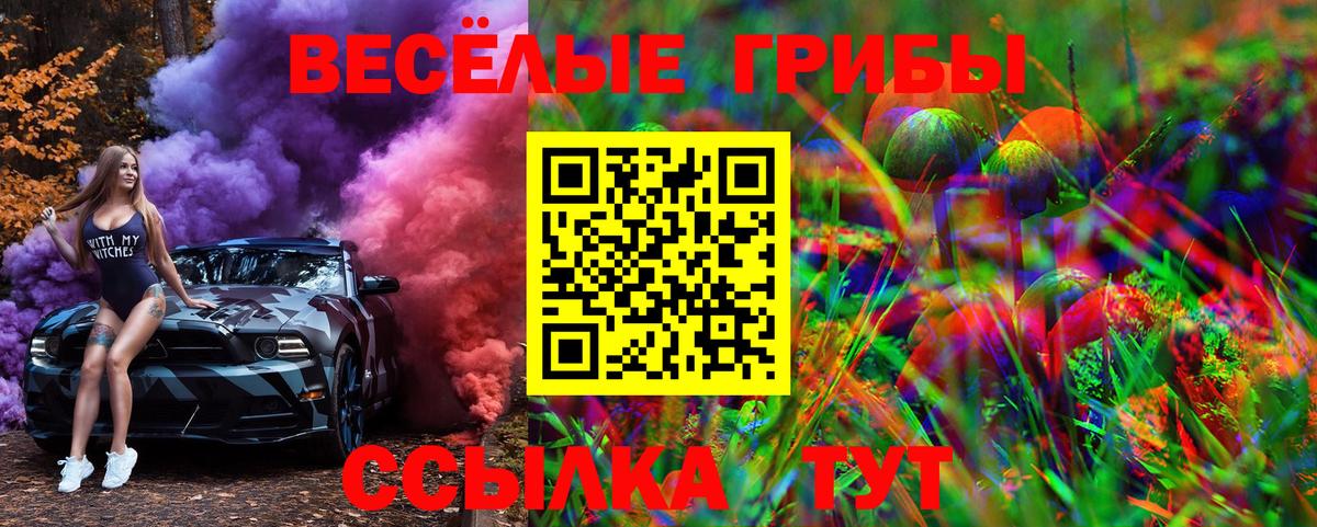 Галлюциногенные грибы Magic Shrooms  Галлюциногенные грибы Psilocybe  Жуковский  Вход с VPN 